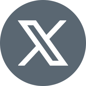 x icon